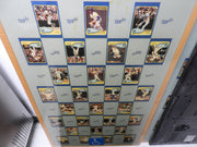 Used Kansas City Royals 48" X 30" Dining Table Top