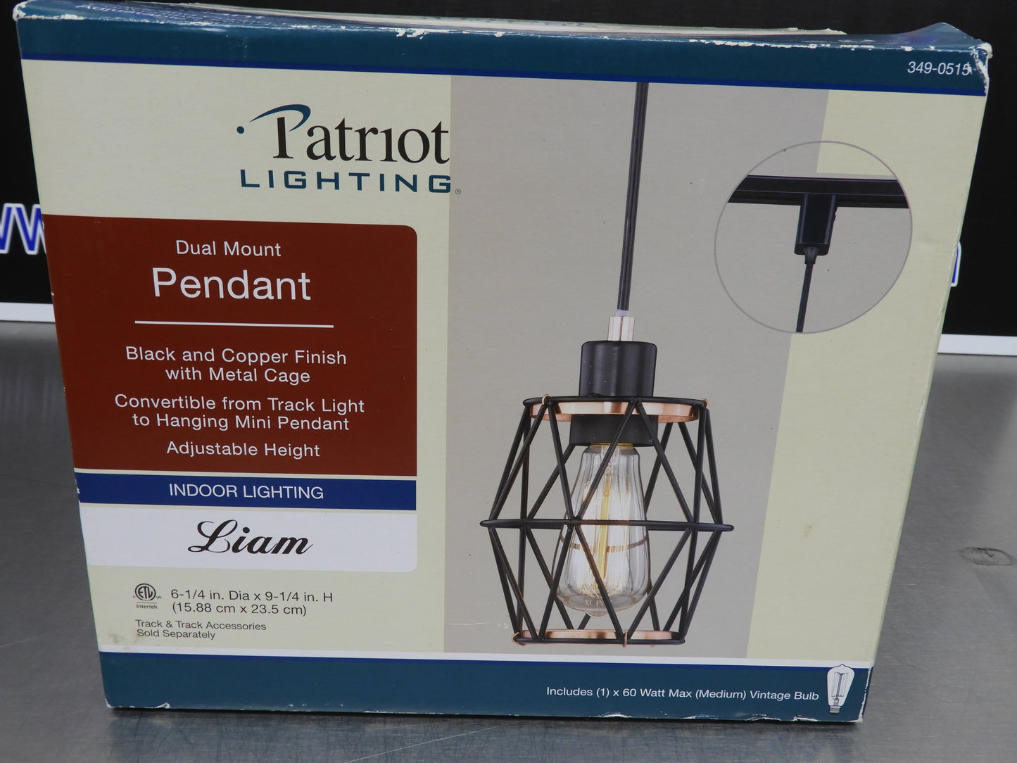 New Patriot 349-0515 Dual Mount Liam Pendant Light with Vintage Bulb