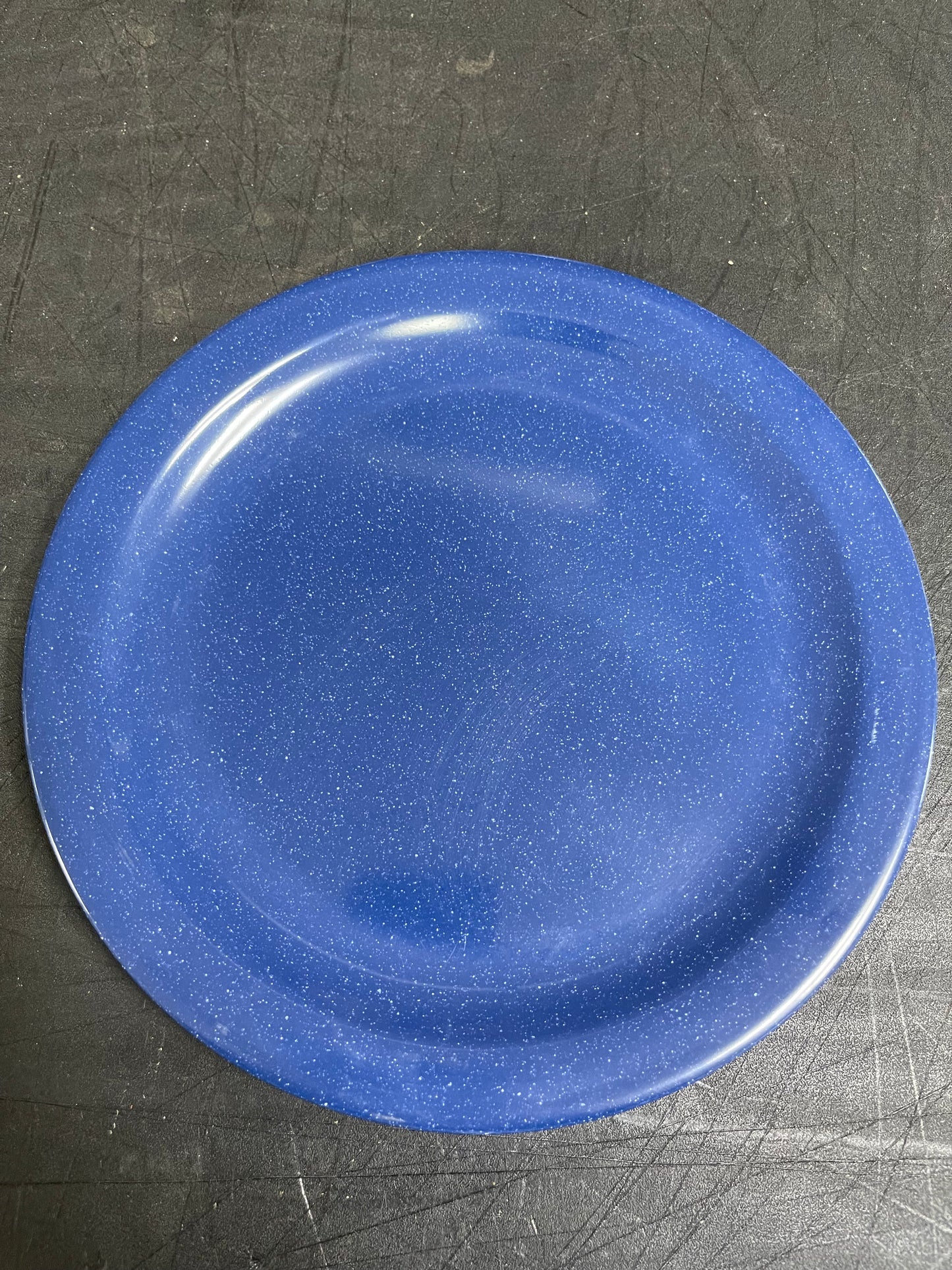 Used Carlisle Dallas Ware Reusable Melamine Plastic Serving Plate 10.25" Blue