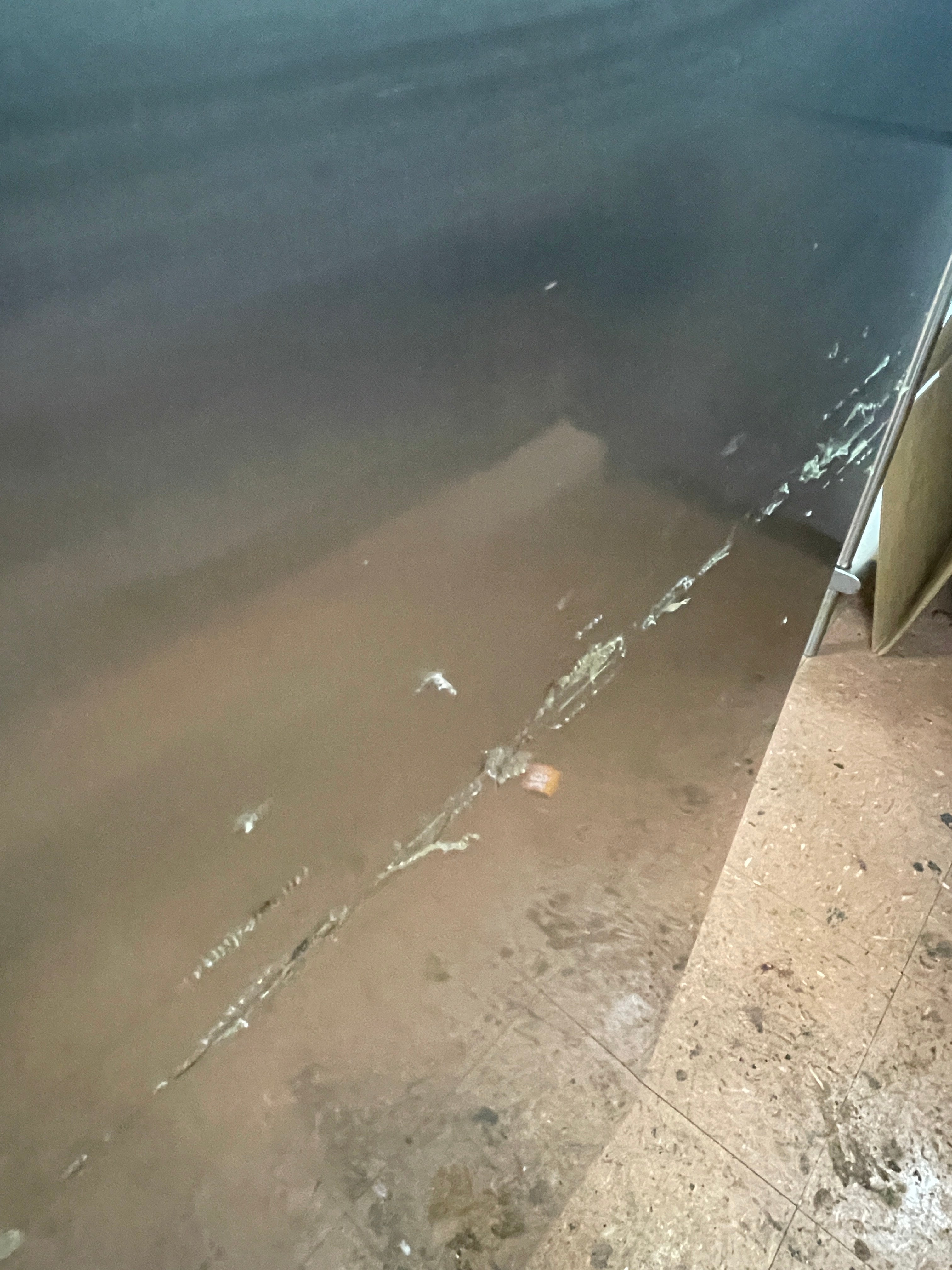 Used Everest ESR1 29.25" 1 Section Solid Door Reach-In Refrigerator As-Is 120V