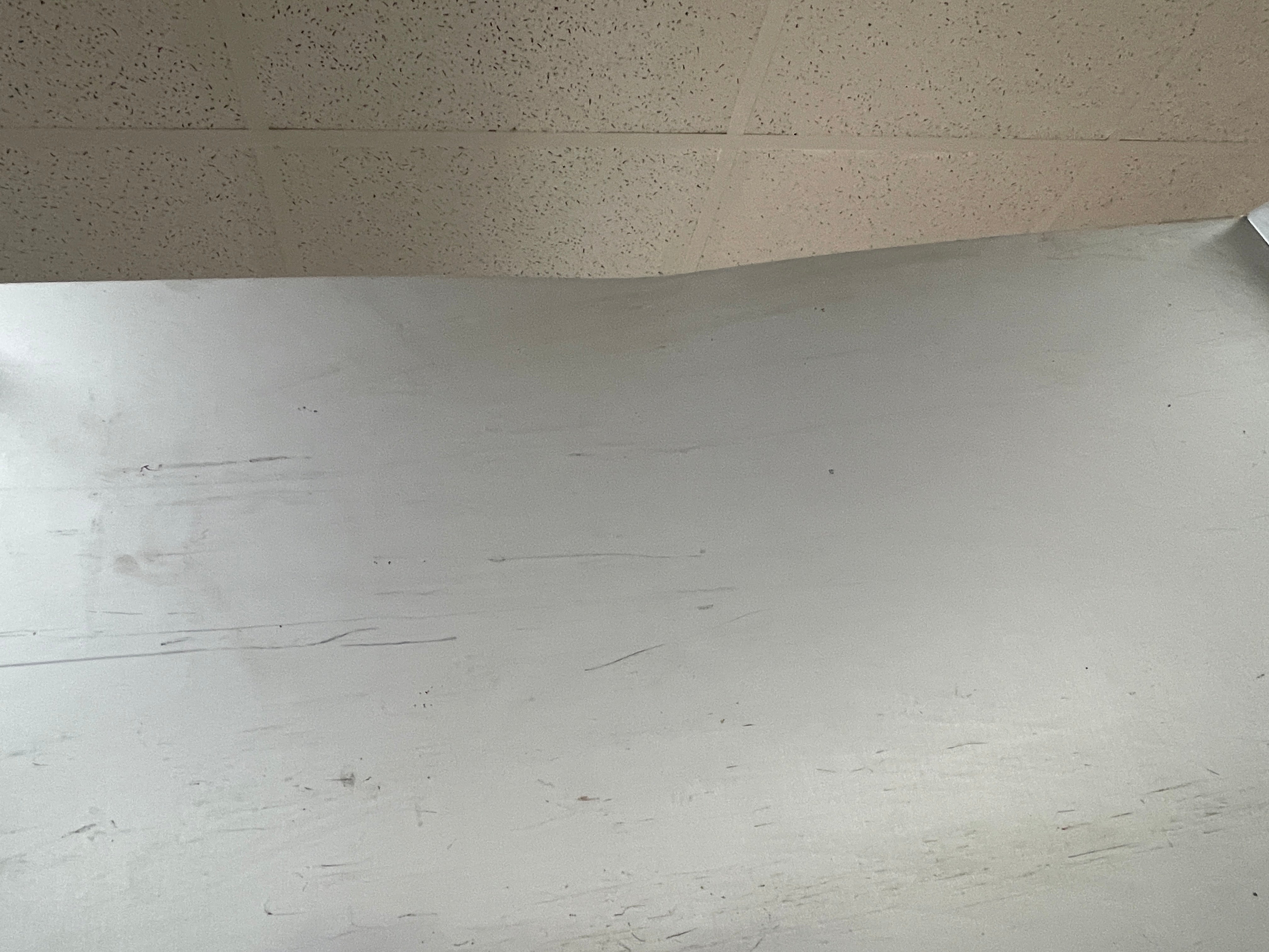 Used Eliason Commercial Swinging Door with Window - Without Hardware