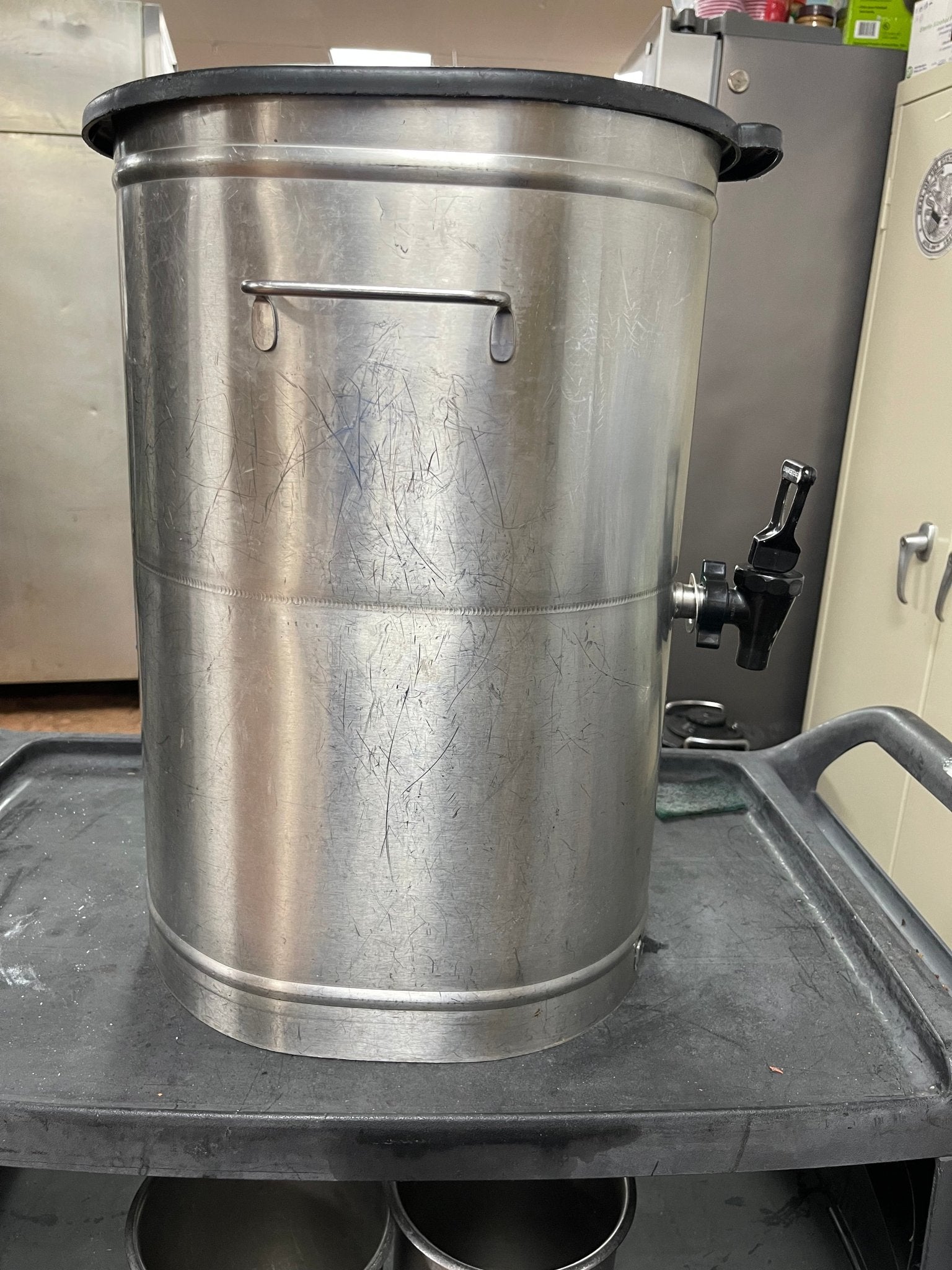Used Bunn 34100.0000 TDO-4 4 Gallon Iced Tea Dispenser